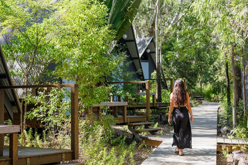 Bounce Magnetic Island